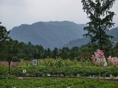 -太阳湾风景区