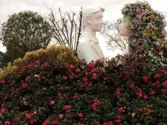 -紫颐香薰山谷景区