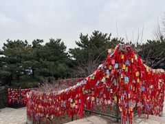 -香山公园