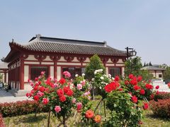 -洛阳古墓博物馆