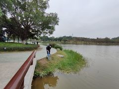 -东莞植物园