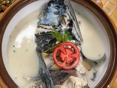 -全乐鱼馆·淳牌有机鱼直营店