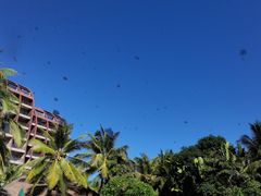 -三亚湾海居铂尔曼度假酒店