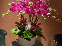 -霖公馆SPA·足道(普善路店)