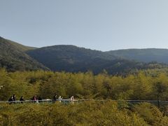 -陶祖圣境风景区