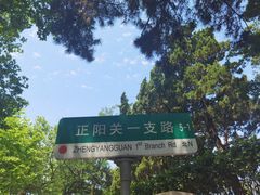 -八大关景区
