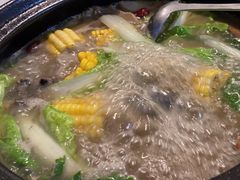 -蘑统田下·野生菌火锅