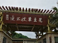 -夜不收荤豆花(大邑总店)