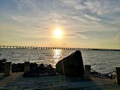 -宝安西湾红树林湿地公园