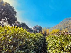 -杭州西湖风景名胜区-满觉陇四眼井