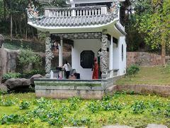 -深圳国际园林花卉博览园