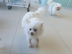 -怪兽屋·羊驼·猫咖·狗咖(俊华广场店)