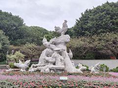 -金鸡山公园
