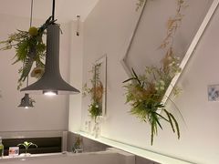 -春树下·树屋花房西餐厅(罍街AS1980店)