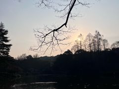 -杭州植物园