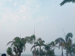 -汕尾风车岛