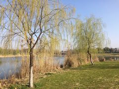 -九里河湿地公园