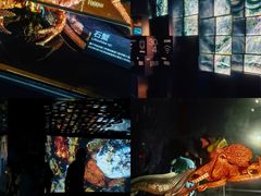 -同济大学四平路校区深海探索馆