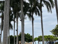 -三亚亚龙湾万豪度假酒店