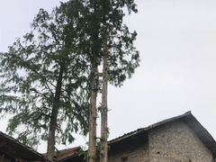 -锅碗瓢盆·重庆本土菜(南坪东东摩店)