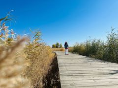 -野鸭湖国家湿地公园
