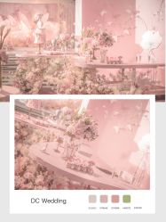 -DC大蔡婚礼策划(李公堤店)