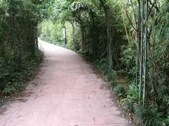 -罗家巷子休闲庄自助碳烤