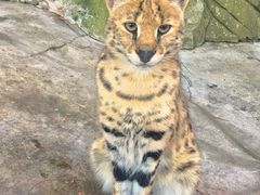 -大连森林动物园