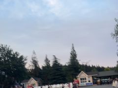 -日照海滨国家森林公园