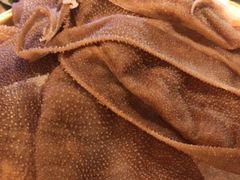 -毛肚向右·川渝毛肚王(经开永旺店)