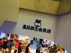 -盒马鲜生(大成店)