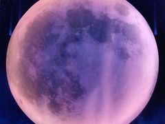 -梵高星空艺术馆(北京旗舰店)