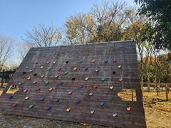 -贡湖湾湿地公园