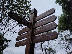 -南宁良凤江国家森林公园