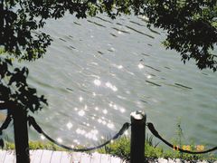 -深圳仙湖植物园