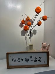 -DELAVAY黛乐薇抗衰中心