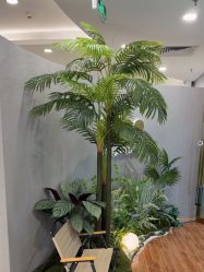 -八佰伴8008星级形象店