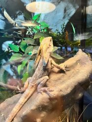 -Zoolung Zoolung动物主题公园(海信广场店)