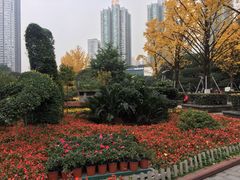 -观音桥步行街