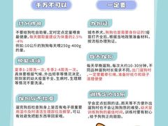 -翊宠yipet猫狗购宠庄园
