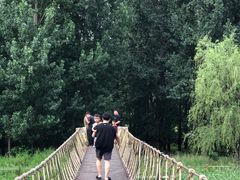 -白河湾生态旅游一条川