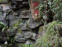 -巴倒烫陆派火锅山庄(南山总店)