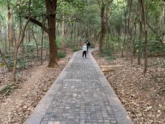 -紫金山山顶公园