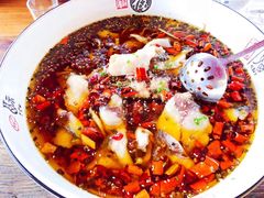 -大兴滨河森林公园