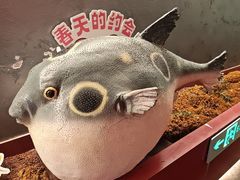 -肆月河豚·新淮扬菜·烤鸭(中关村店)