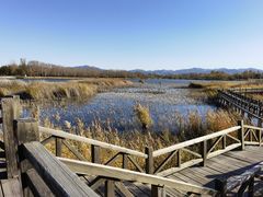 -野鸭湖国家湿地公园