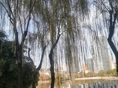 -后襄河公园