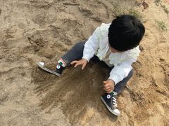 -桃园农庄·桃源宴