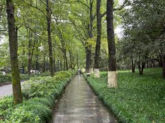 -山外山菜馆(玉泉路店)