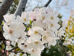 -外高桥保税区南(地铁站)